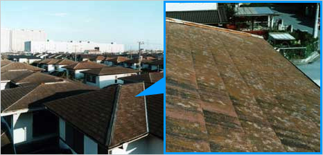 新生瓦屋根とファインスチール屋根の比較